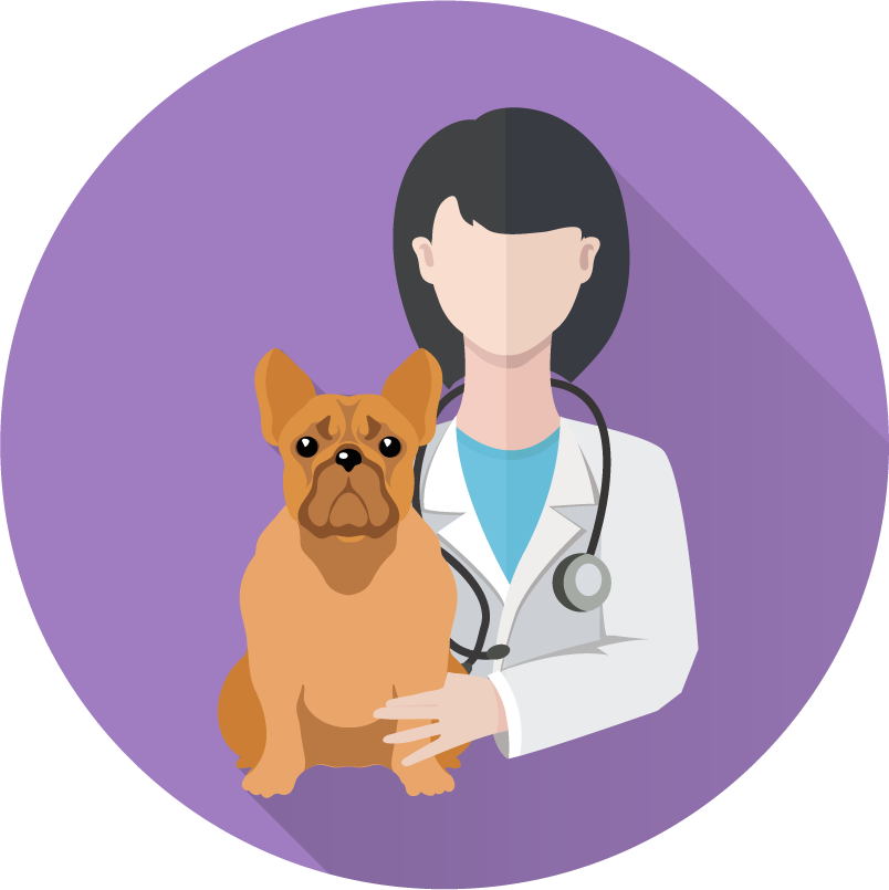 Veterinary doctor and animals vet clinic flat round icons