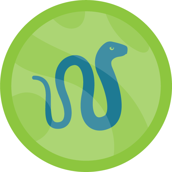 veterinary icons collection pet animal for animal care services and clinics