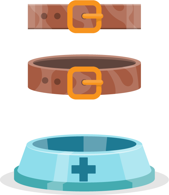 veterinary icons collection pet animal featuring collars and bowls for pet care