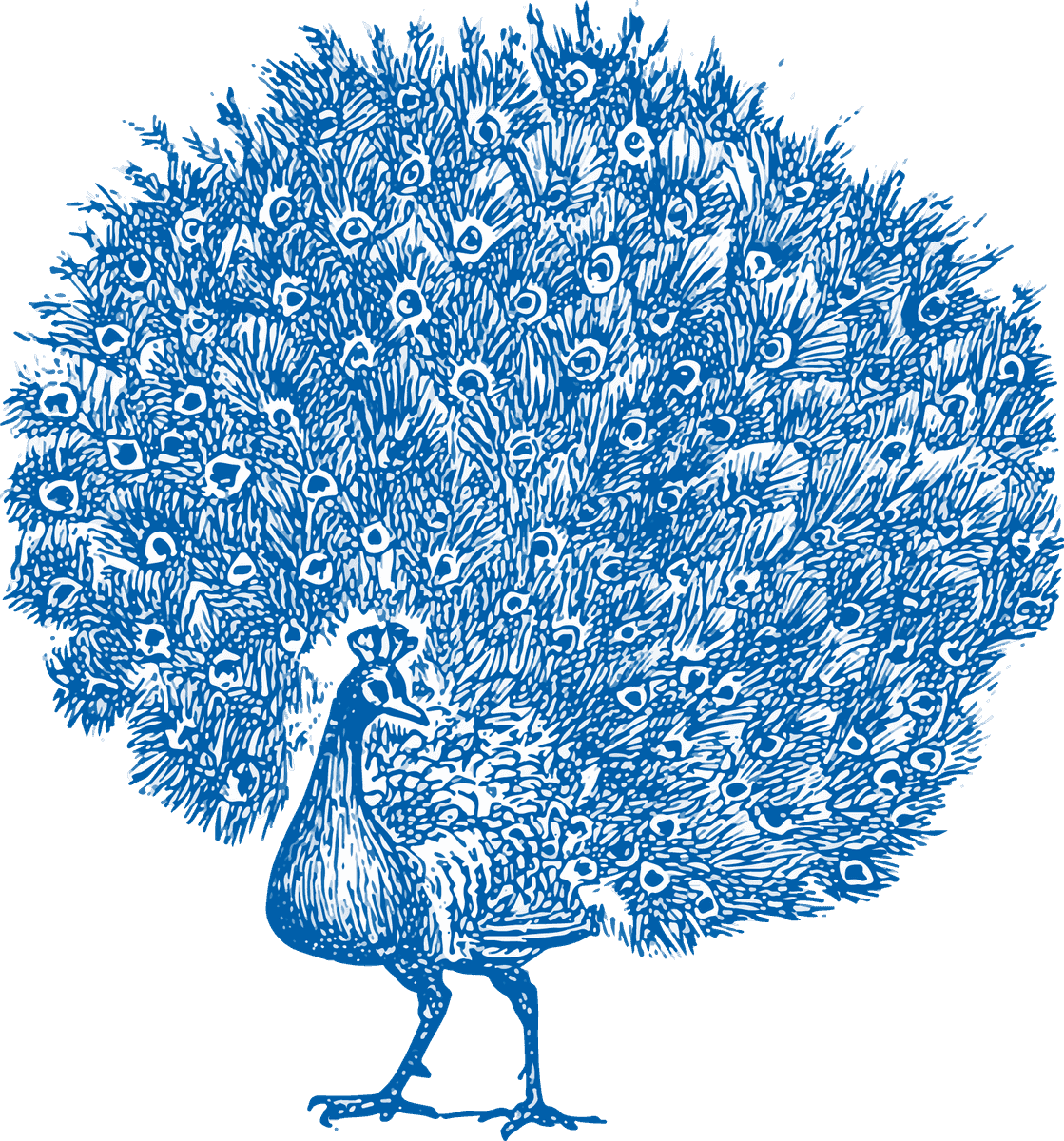 vintage victorian objects collection featuring ornate peacock illustrations in classic blue tones