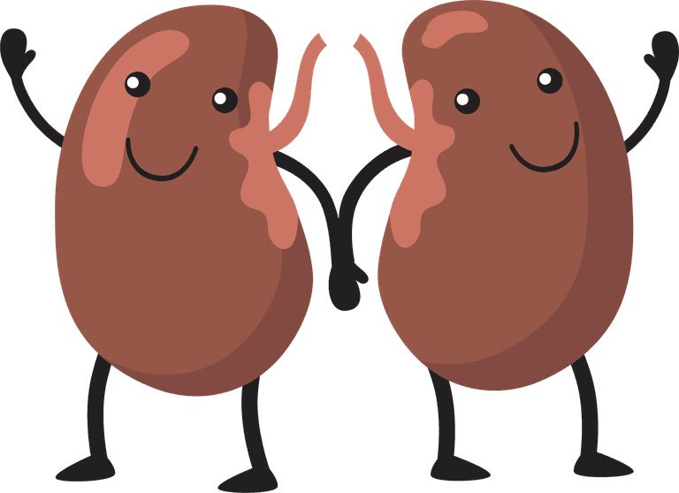 viscera funny human organs set with cheerful characters and playful expressions for educational purposes