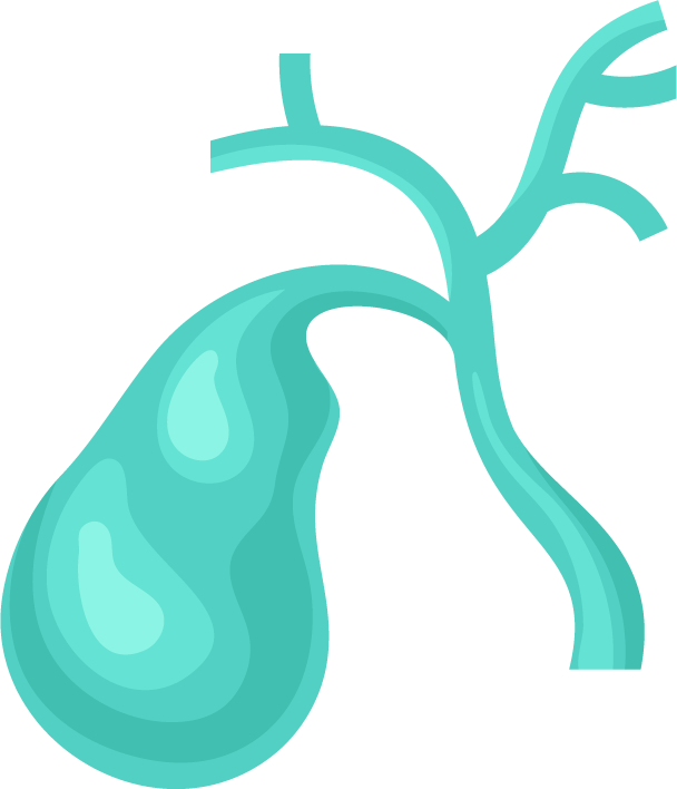 viscera human organs flat icons set