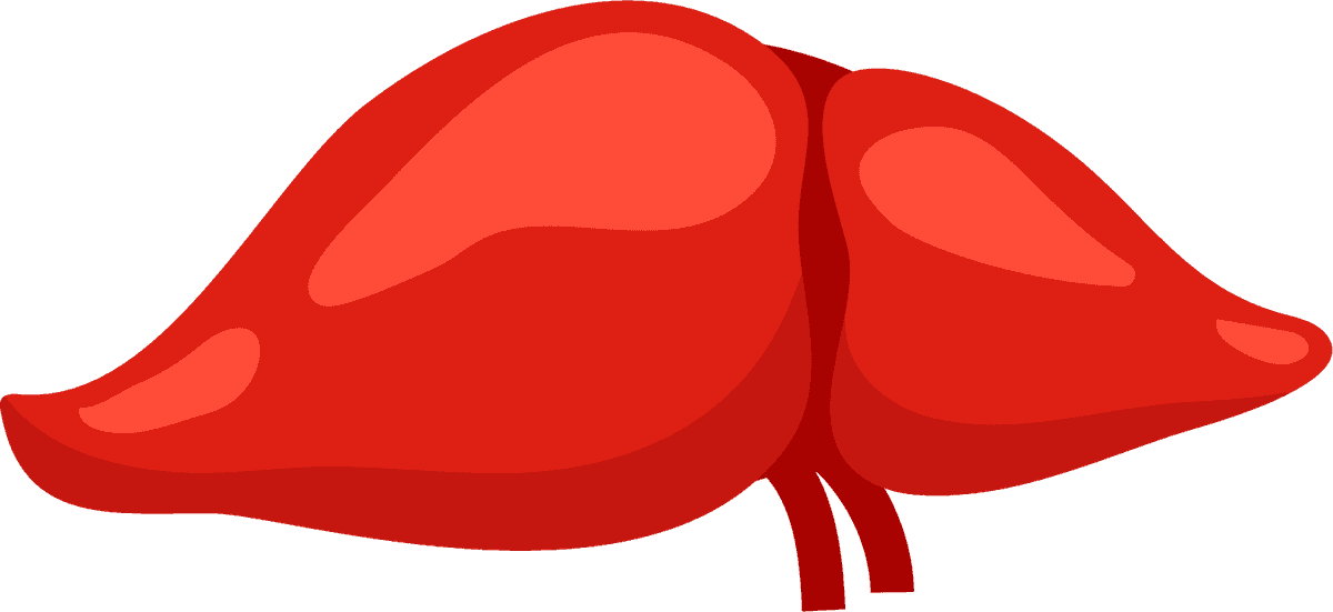 viscera human organs flat icons set