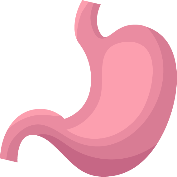 viscera human organs flat icons set