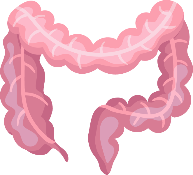 viscera human organs flat icons set