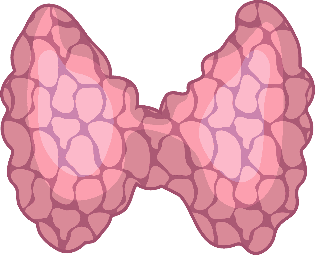 viscera human organs flat icons set