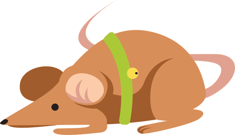 vole gerbil animal in different colors and pattern collection