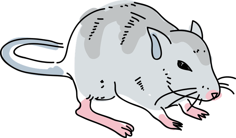 vole gerbil mouse pose hand drawn doodle illustration