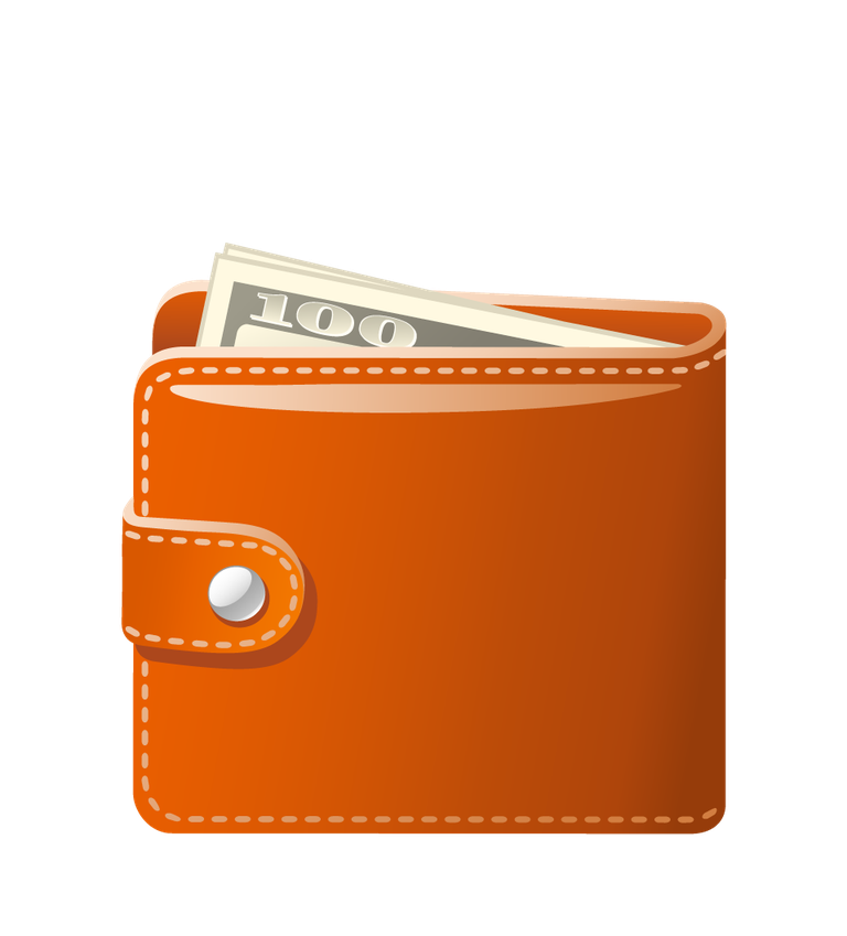 wallet money style vector featuring an orange wallet with cash for financial management