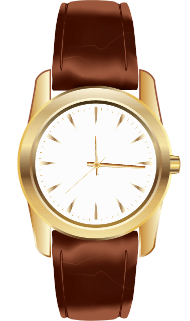 watch classical watch collection illustration