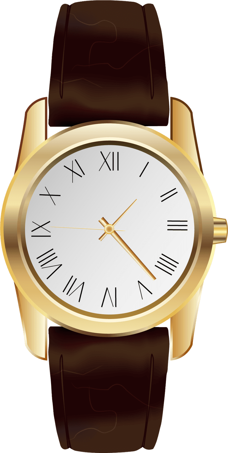 watch classical watch collection illustration