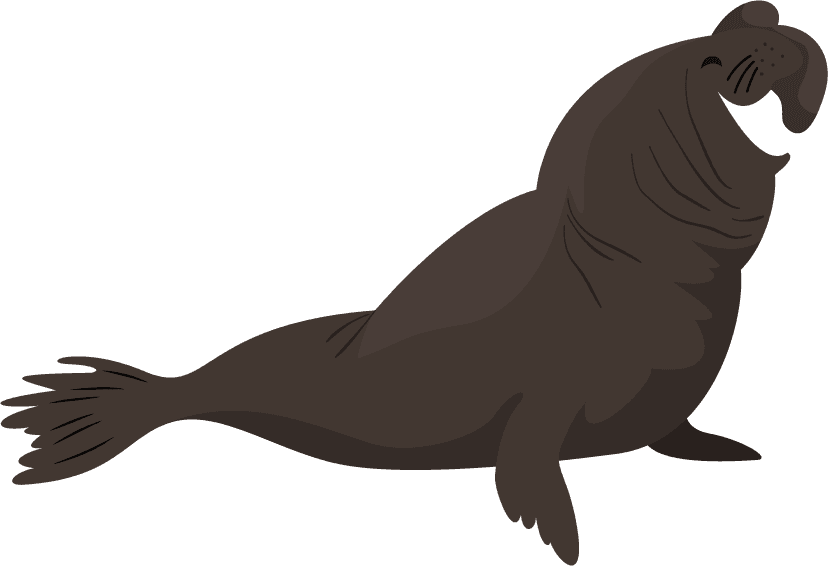 water seal polar animals icons cute cartoon sketch
