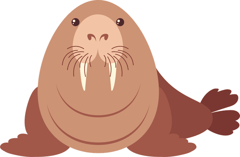 water seal sea animals on round badges illustration