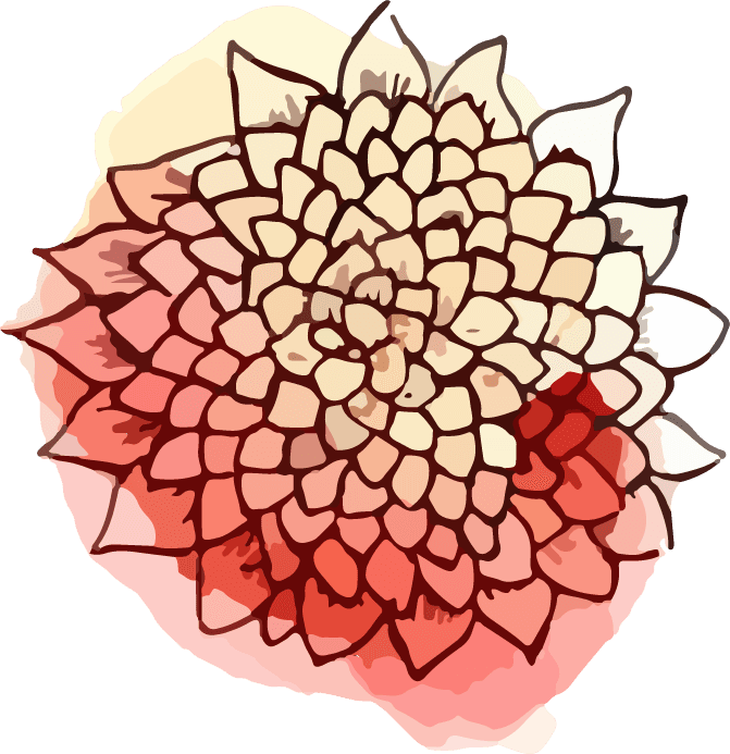 watercolor bontanical art flower illustration vector