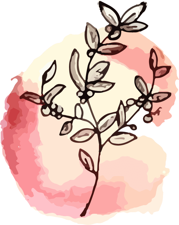 watercolor bontanical art flower illustration vector