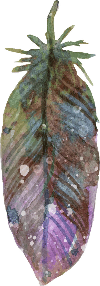 watercolor dreamcatcher with boho elements for serene home decor and personal expression
