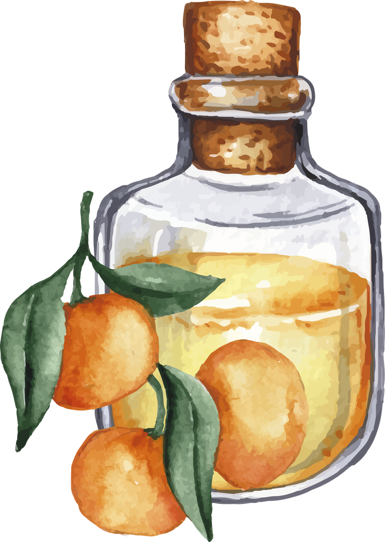 watercolor essential oil bottle collection with citrus fruits and vibrant colors for wellness and aromatherapy