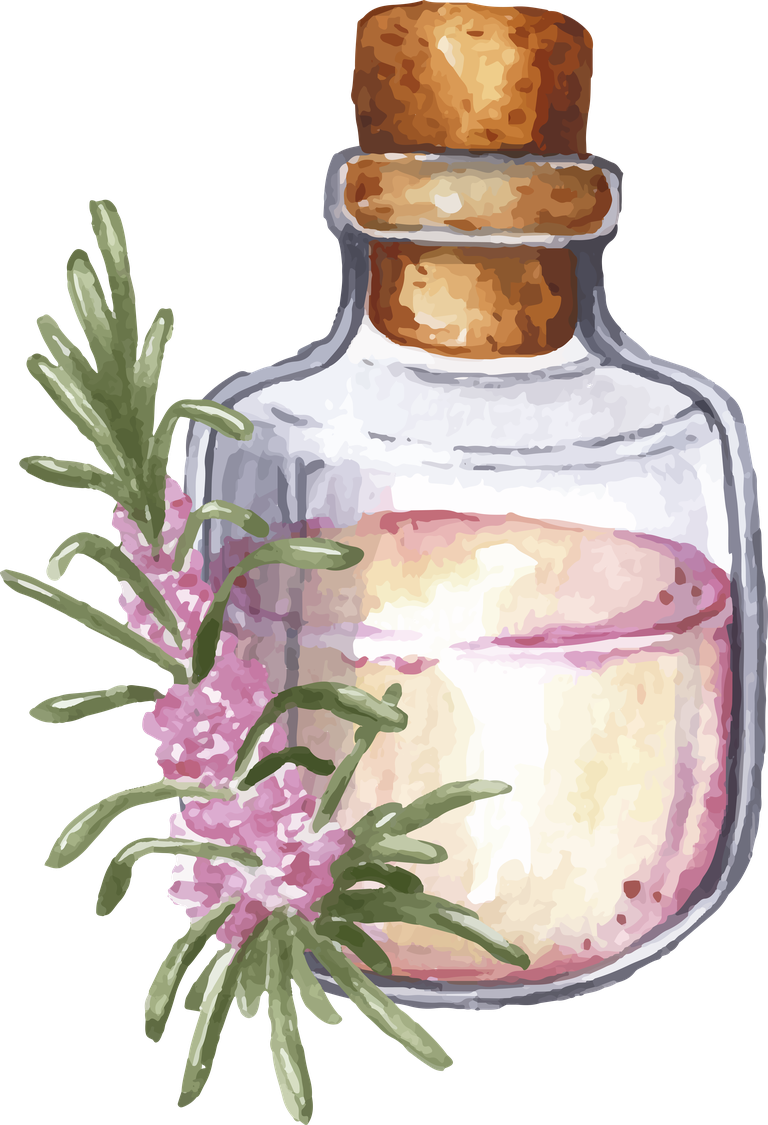 watercolor essential oil bottle collection featuring herbal elements for aromatherapy decor