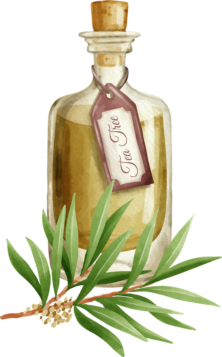 watercolor essential oil bottle collection with organic labels and vibrant colors for wellness branding