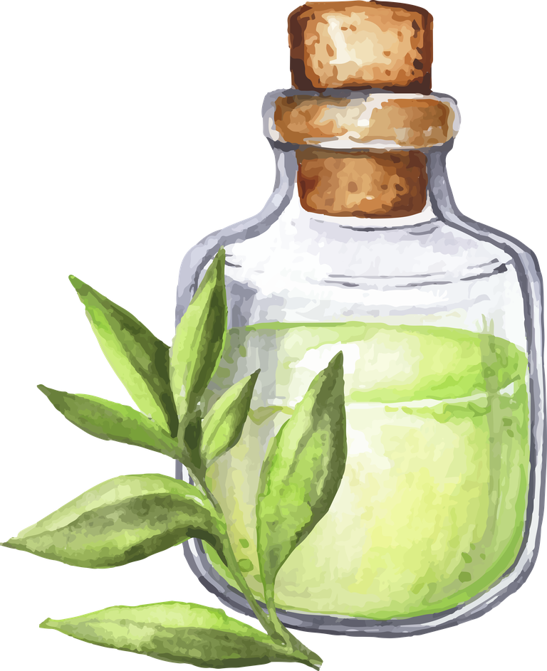 watercolor essential oil bottle collection featuring natural elements for wellness and aromatherapy