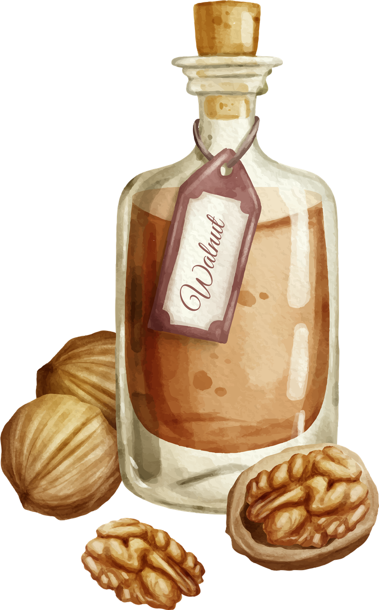 watercolor essential oil bottle collection with walnut extracts and natural elements for wellness
