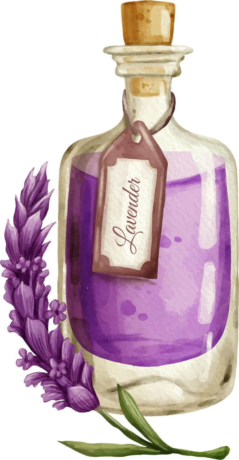 watercolor essential oil bottle collection featuring lavender and soothing aromas for wellness
