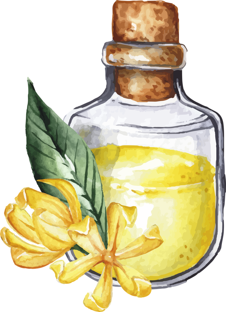 watercolor essential oil bottle collection featuring vibrant colors and botanical elements for wellness enthusiasts