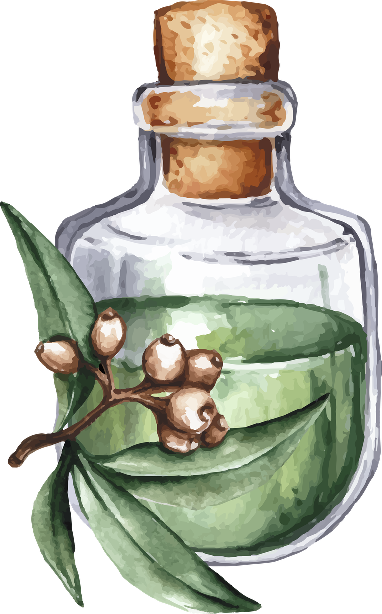 watercolor essential oil bottle collection with natural elements for holistic wellness