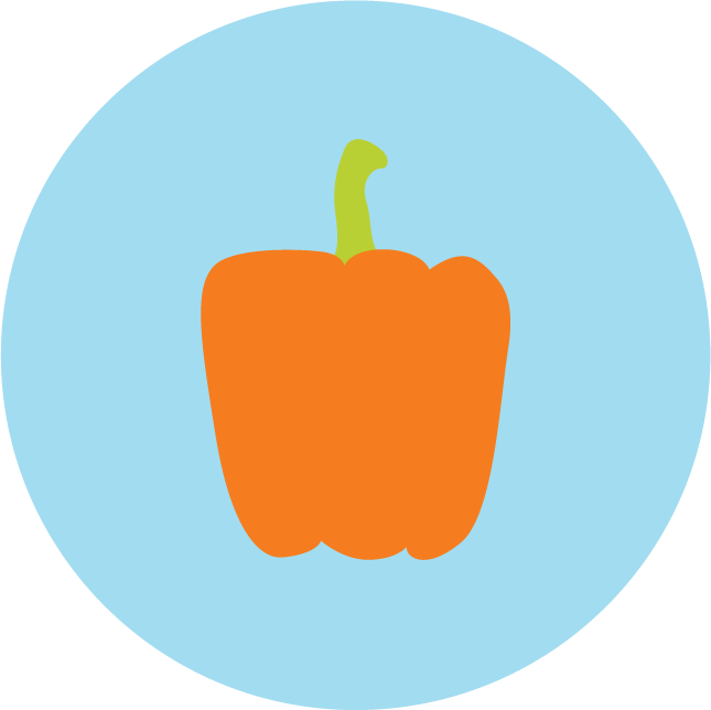 web technology development icons for modern applications and innovative solutions