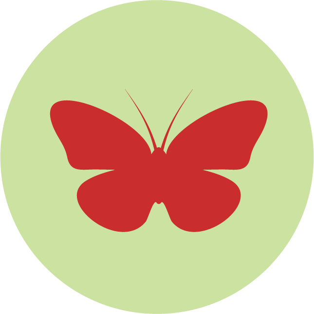 web technology development icons showcasing intuitive butterfly motifs for creative projects
