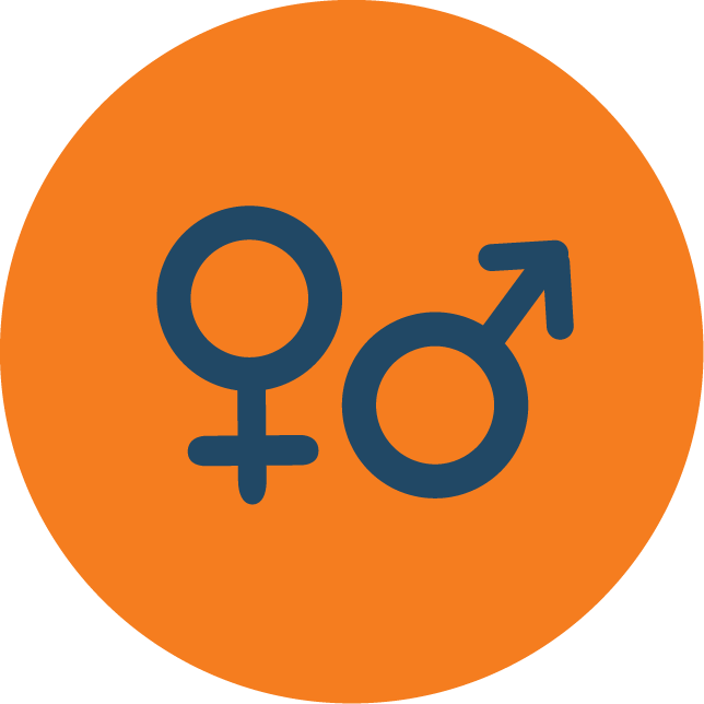 web technology development icons vector for gender representation in digital applications