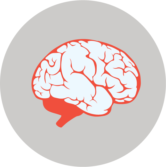 web technology development icons vector for enhancing user experience with learning tools and apps