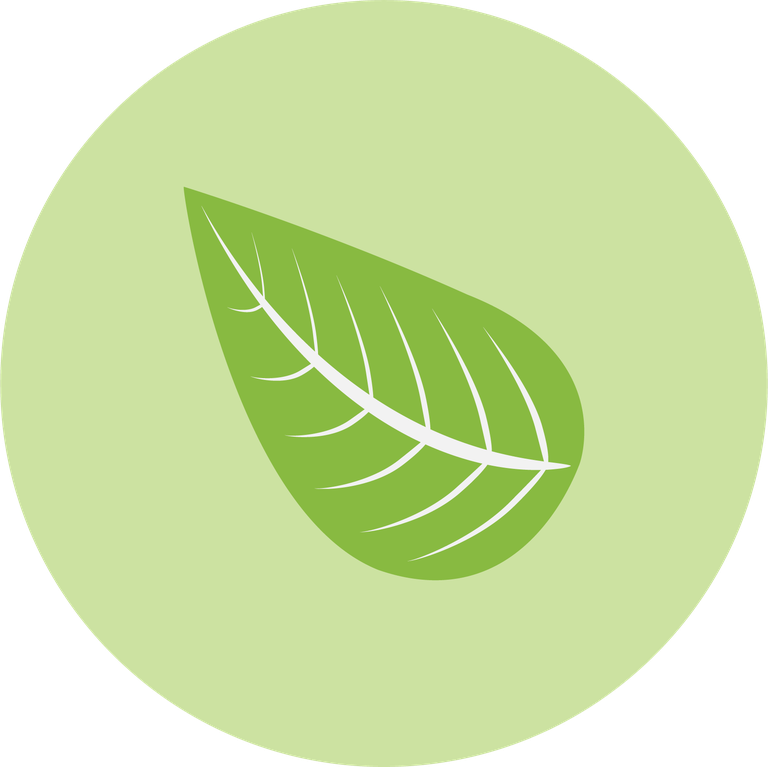 web technology development icons vector showcasing eco-friendly elements for sustainable projects