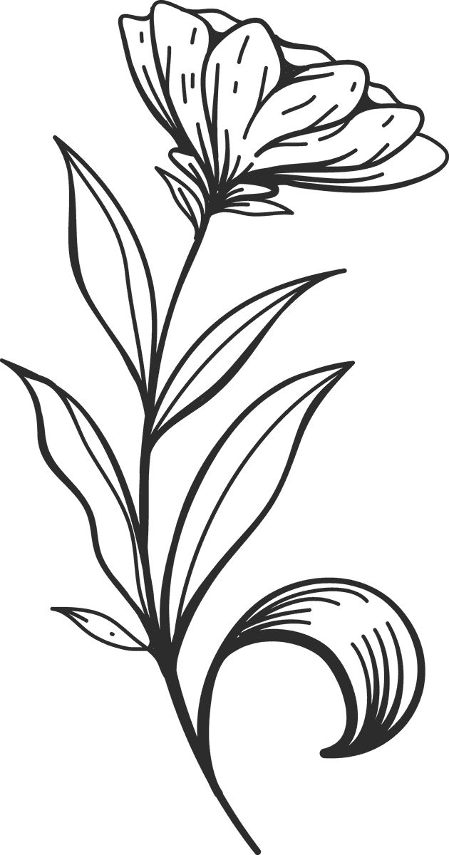 wedding ornament set hand drawn elegant floral illustrations for romantic celebrations