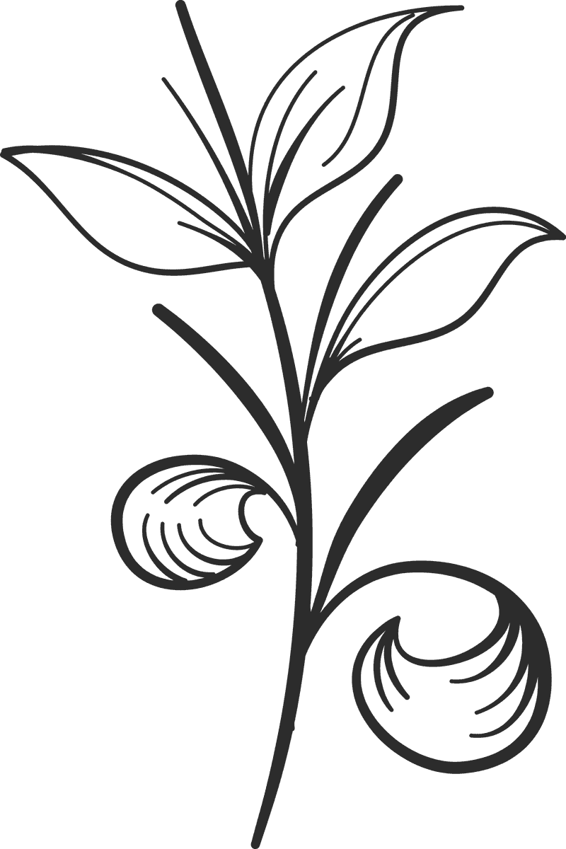 wedding ornament set hand drawn floral accents for elegant ceremonies
