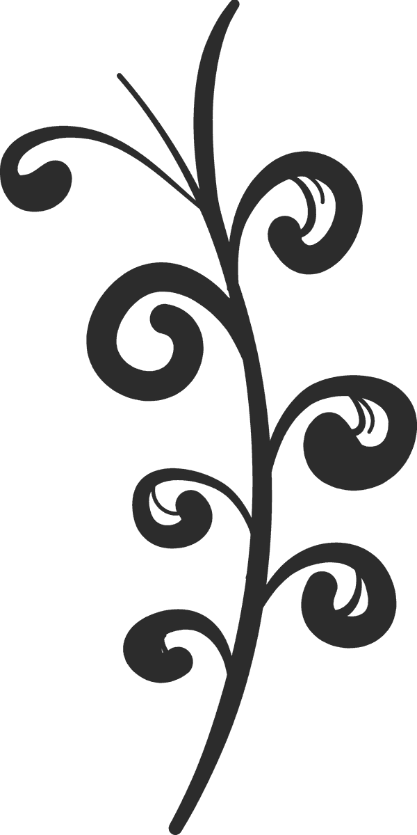 wedding ornament set hand drawn with elegant floral motifs for invitations and decor