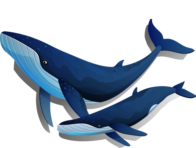 whale mother whales icons motion sketch colored 