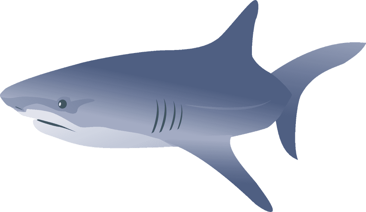 white shark eyes pack for aquatic-themed projects or educational content