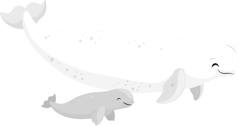 white whale polar animals icons cute cartoon sketch