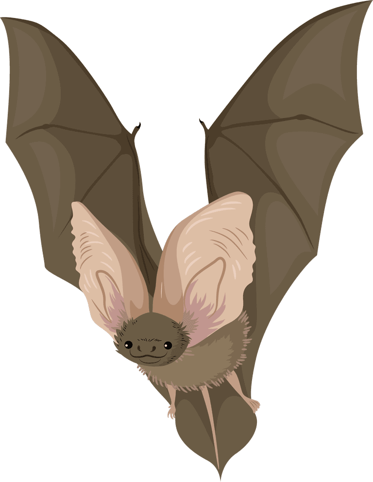 whoreson bat species icons gestures sketch cartoon 