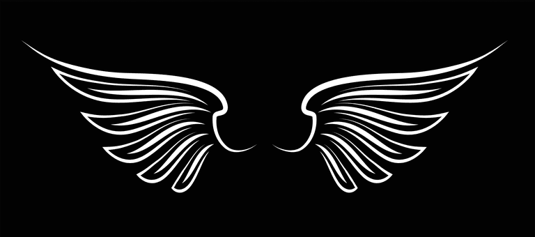 wings wings black elements angels birds wings illustration white wings