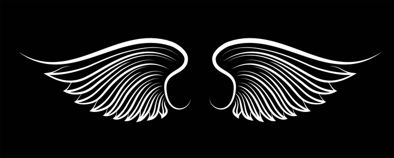 wings wings black elements angels birds wings illustration white wings