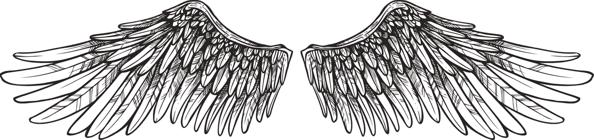 wings wings sketch set for enhancing creative projects and artistic expressions