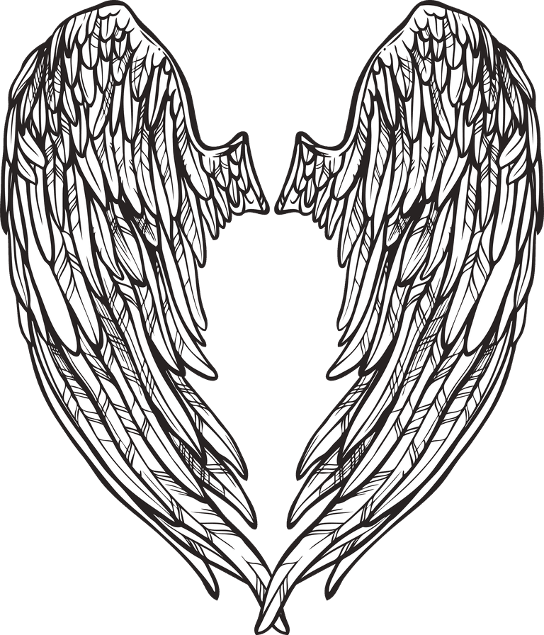 wings wings sketch set for unique illustrations and creative projects to inspire anyone