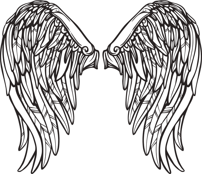 wings wings sketch set for creative projects and artistic expression in various styles