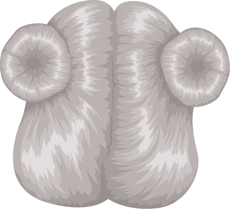 women hairstyle back view icons collection