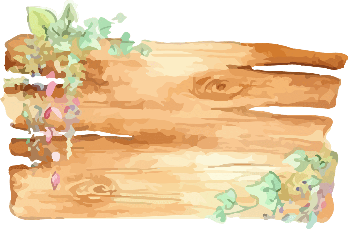 wooden frames watercolor wood fall vector