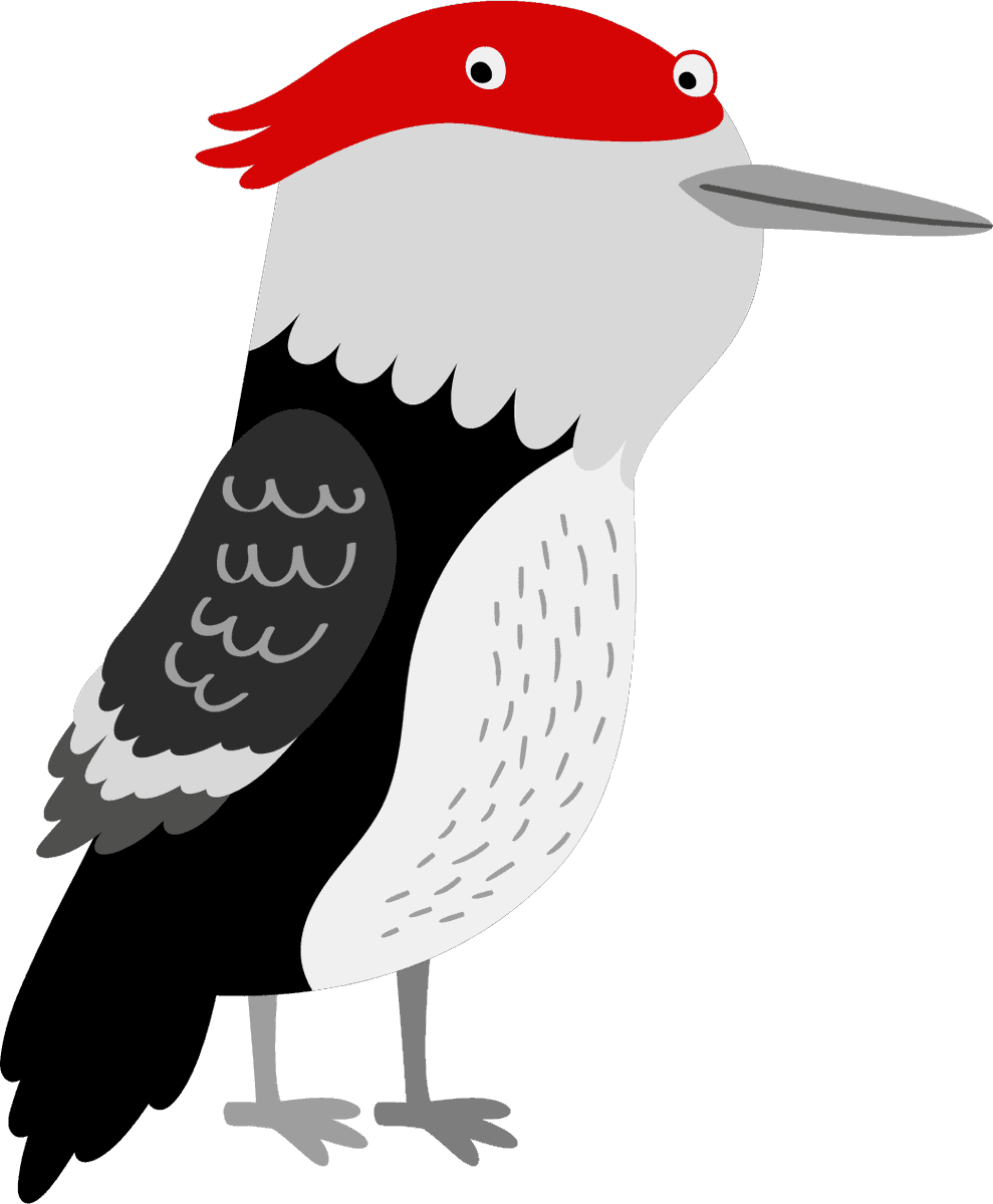 woodpecker cute birds illustration set featuring playful characters for children's art projects