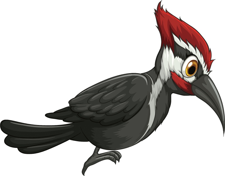 woodpecker isolated picture wild animals in vibrant cartoon style for nature lovers