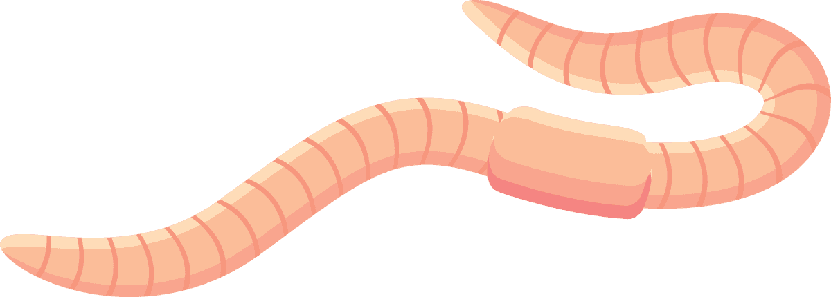 colorful worms earthworm icon set for educational and ecological projects